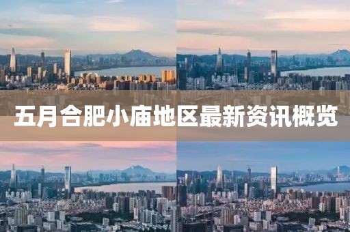 五月合肥小庙地区最新资讯概览