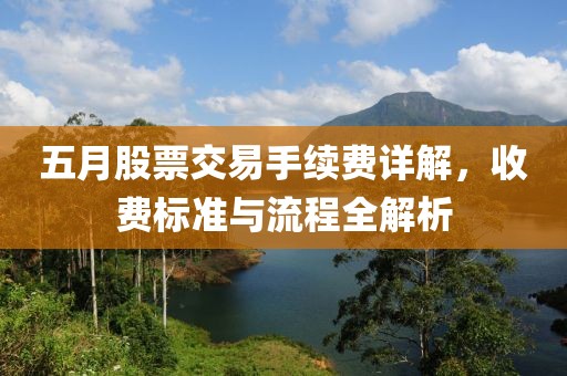 五月股票交易手续费详解，收费标准与流程全解析