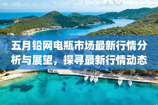 五月铅网电瓶市场最新行情分析与展望，探寻最新行情动态