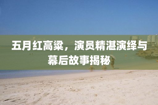 五月红高粱，演员精湛演绎与幕后故事揭秘