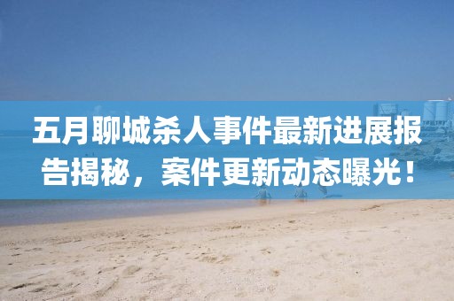 五月聊城杀人事件最新进展报告揭秘，案件更新动态曝光！