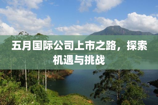 五月国际公司上市之路，探索机遇与挑战