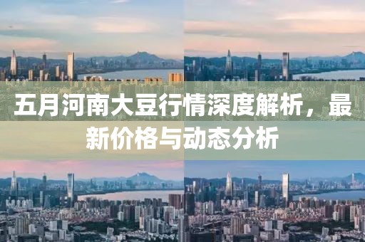 五月河南大豆行情深度解析，最新价格与动态分析