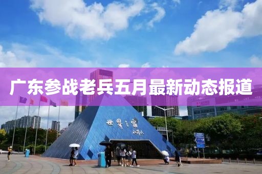 广东参战老兵五月最新动态报道