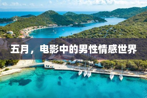 五月，电影中的男性情感世界