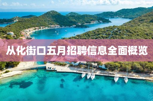 从化街口五月招聘信息全面概览