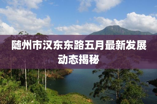 随州市汉东东路五月最新发展动态揭秘