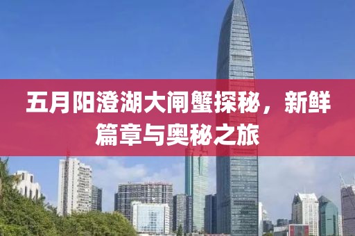 五月阳澄湖大闸蟹探秘，新鲜篇章与奥秘之旅