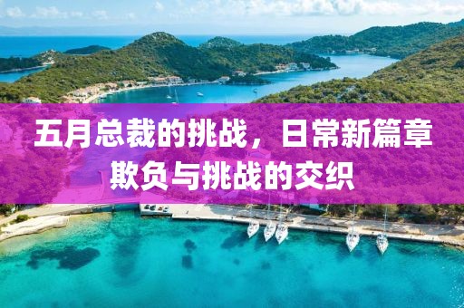五月总裁的挑战，日常新篇章欺负与挑战的交织