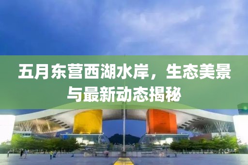 五月东营西湖水岸，生态美景与最新动态揭秘