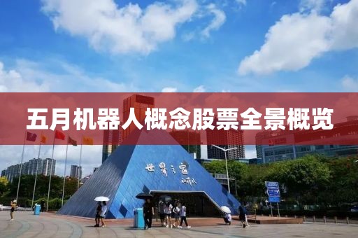 五月机器人概念股票全景概览