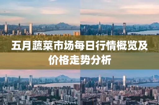五月蔬菜市场每日行情概览及价格走势分析