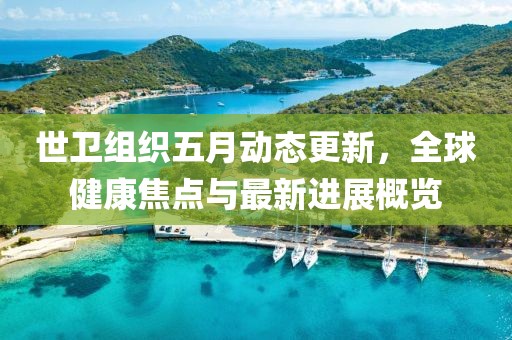 世卫组织五月动态更新，全球健康焦点与最新进展概览