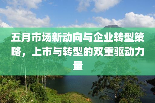 五月市场新动向与企业转型策略，上市与转型的双重驱动力量