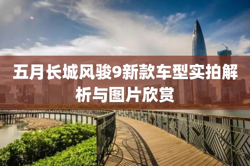 五月长城风骏9新款车型实拍解析与图片欣赏