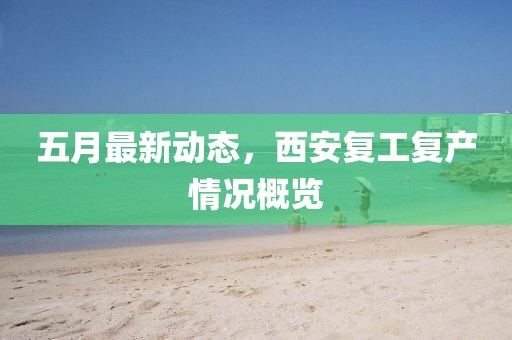 五月最新动态，西安复工复产情况概览