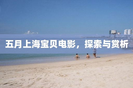 五月上海宝贝电影，探索与赏析