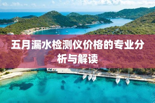 五月漏水检测仪价格的专业分析与解读