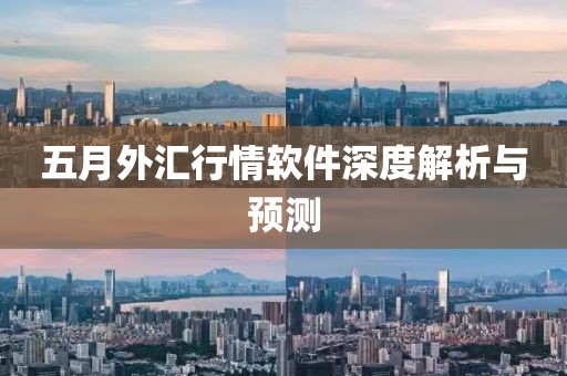 五月外汇行情软件深度解析与预测