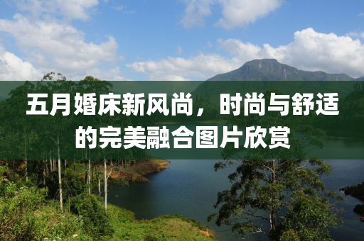 五月婚床新风尚，时尚与舒适的完美融合图片欣赏