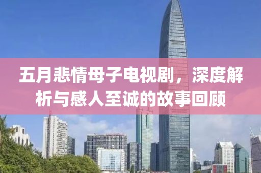 五月悲情母子电视剧，深度解析与感人至诚的故事回顾