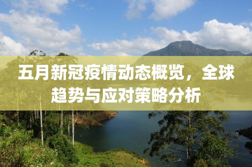 五月新冠疫情动态概览，全球趋势与应对策略分析