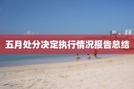 五月处分决定执行情况报告总结