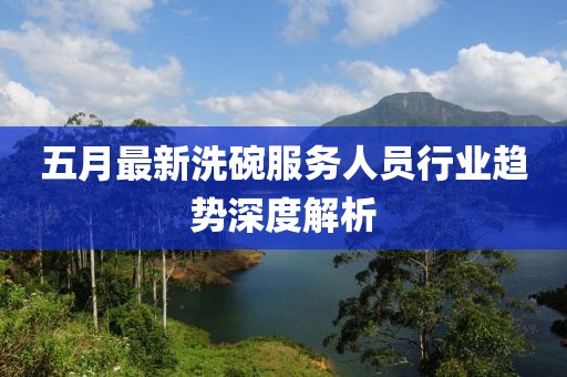 五月最新洗碗服务人员行业趋势深度解析