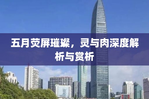 五月荧屏璀璨，灵与肉深度解析与赏析