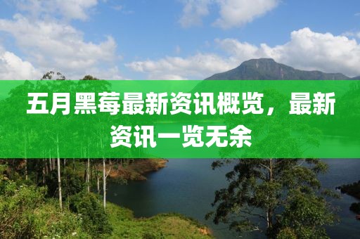 五月黑莓最新资讯概览，最新资讯一览无余