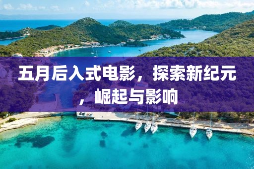 五月后入式电影，探索新纪元，崛起与影响
