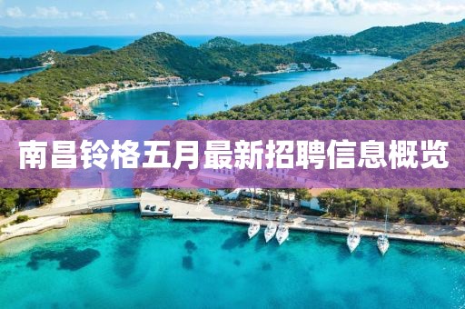 南昌铃格五月最新招聘信息概览