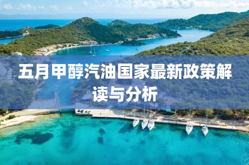 五月甲醇汽油国家最新政策解读与分析