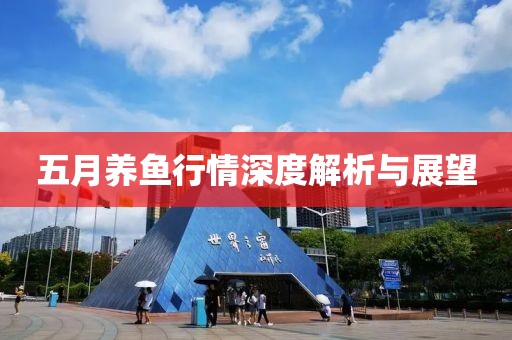 五月养鱼行情深度解析与展望