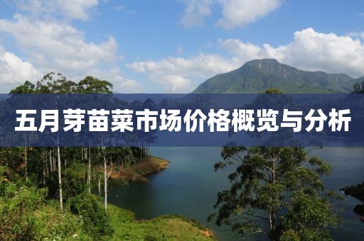 五月芽苗菜市场价格概览与分析