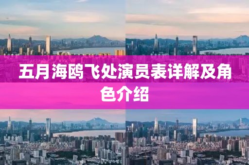 五月海鸥飞处演员表详解及角色介绍