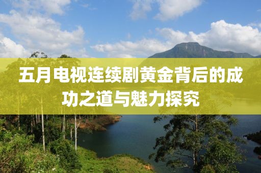 五月电视连续剧黄金背后的成功之道与魅力探究