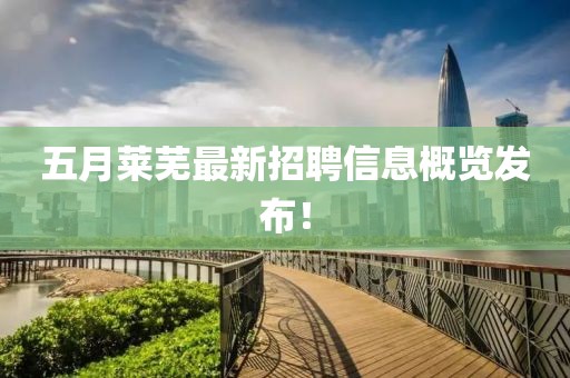 五月莱芜最新招聘信息概览发布！