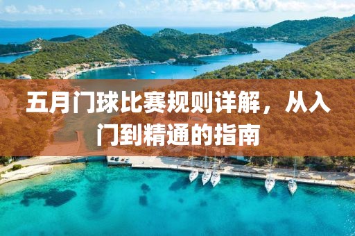 五月门球比赛规则详解，从入门到精通的指南