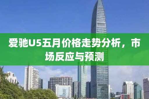 爱驰U5五月价格走势分析，市场反应与预测