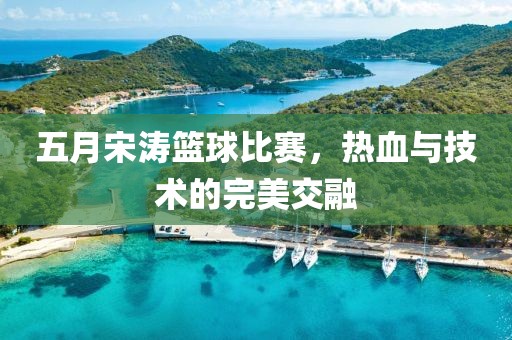 五月宋涛篮球比赛，热血与技术的完美交融