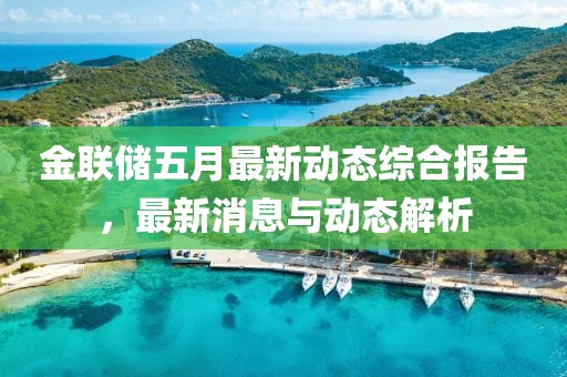 金联储五月最新动态综合报告，最新消息与动态解析