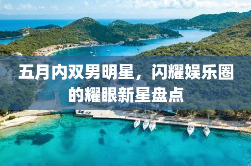 五月内双男明星，闪耀娱乐圈的耀眼新星盘点