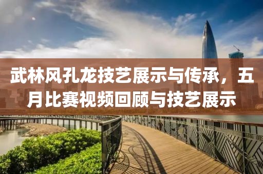 武林风孔龙技艺展示与传承，五月比赛视频回顾与技艺展示