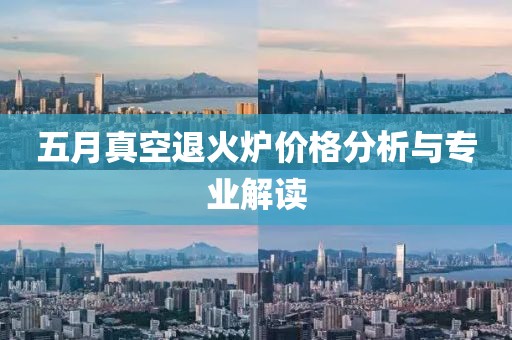 五月真空退火炉价格分析与专业解读