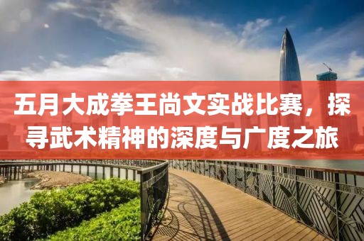 五月大成拳王尚文实战比赛，探寻武术精神的深度与广度之旅