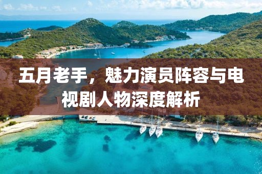 五月老手，魅力演员阵容与电视剧人物深度解析