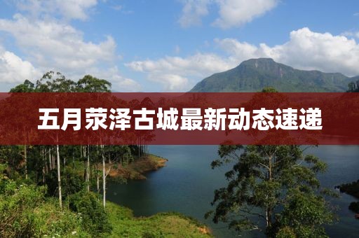 五月荥泽古城最新动态速递