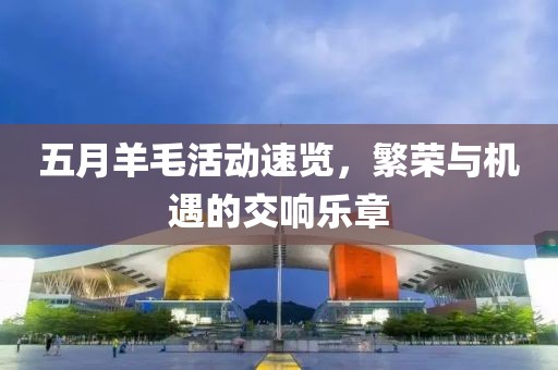 五月羊毛活动速览，繁荣与机遇的交响乐章