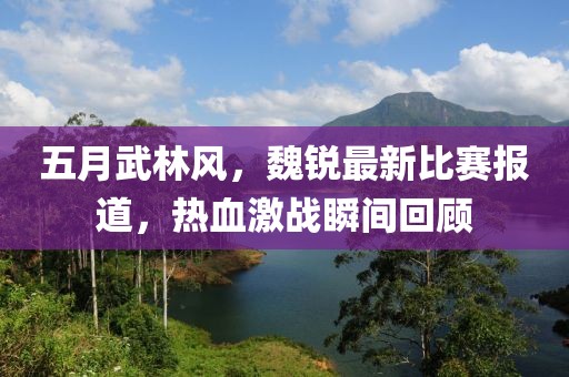 五月武林风，魏锐最新比赛报道，热血激战瞬间回顾